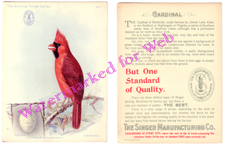 Snger Manufacturing Company - Card No. 7 Cardinal